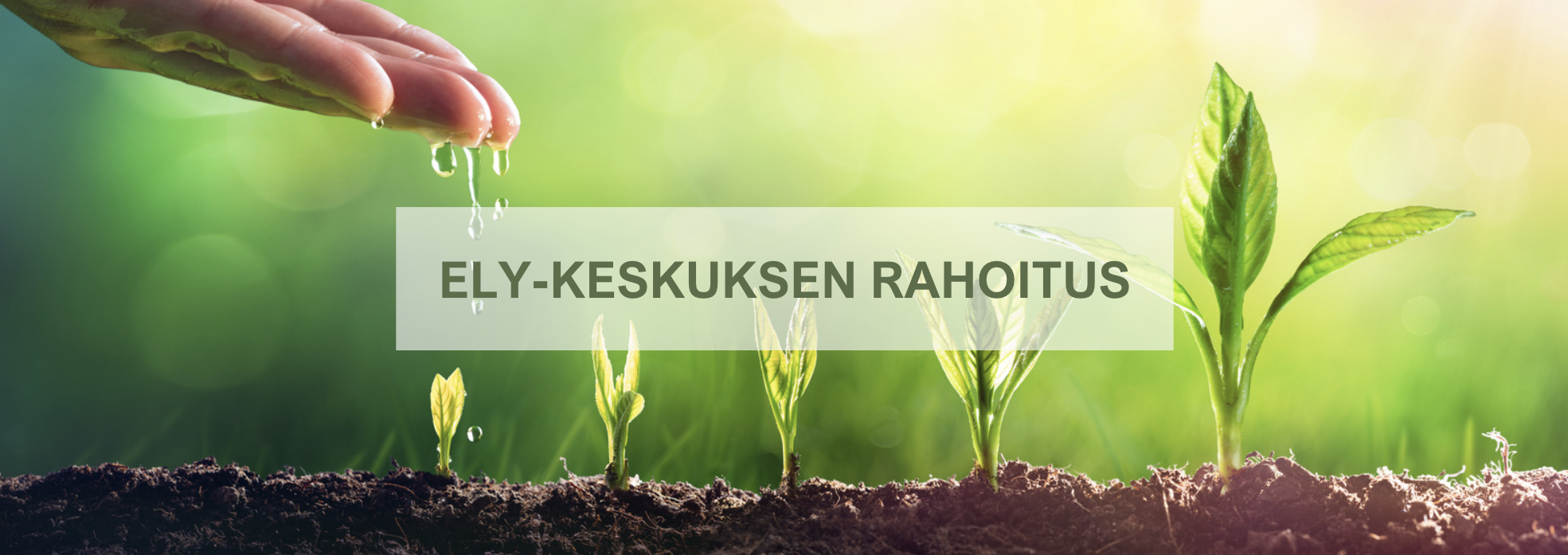 ELY-keskus rahoitus tuki